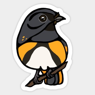 American Redstart Graphic Sticker